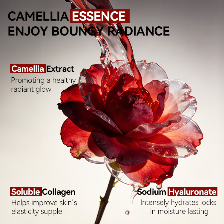 Camellia Micromolecule Essence (4) Camellia Micromolecule Essence (4)
