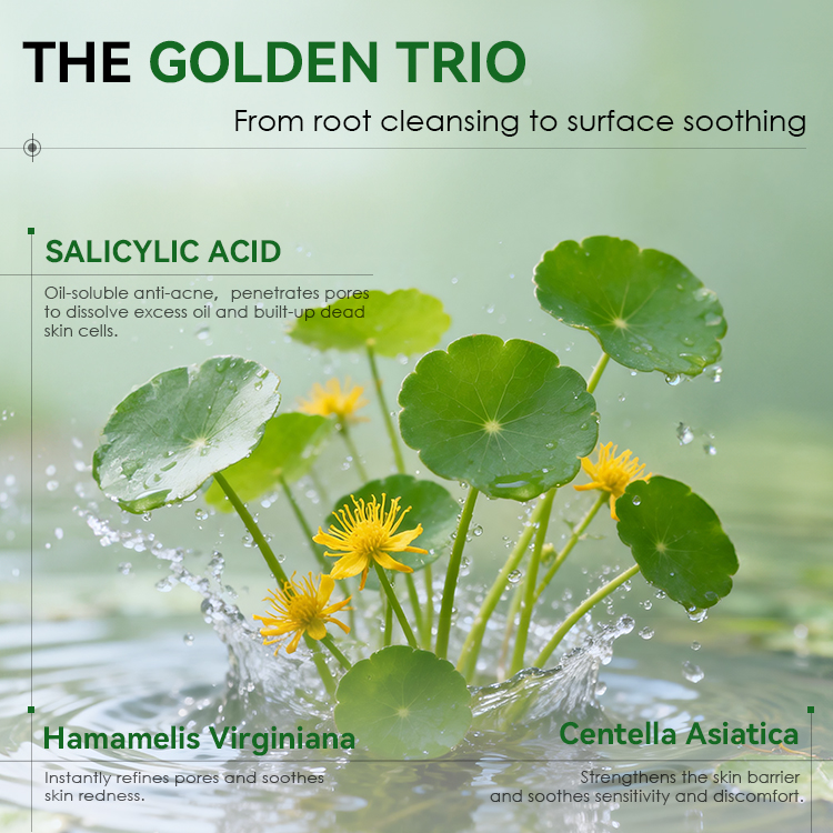 Salicylic Acid Acne-Clearing Cotton Pads (4) Salicylic Acid Acne-Clearing Cotton Pads (4)