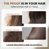 Salon-Grade Argan Oil Repair Shampoo