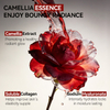 Camellia Micromolecule Essence