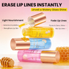 Botanical Nourishing Lip Oil