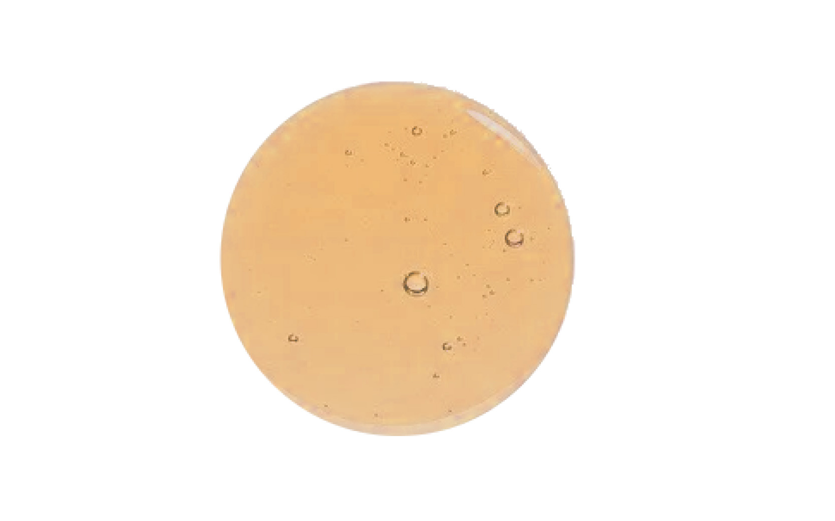 Acne-Care (4)