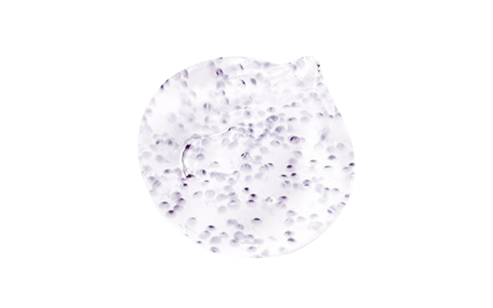 Color Cosmetics (7)
